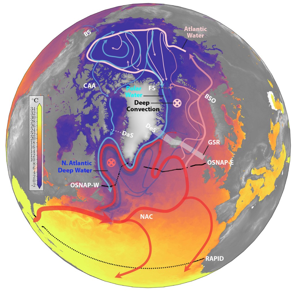 Is Arctic Atlantification Weakening the Atlantic’s Conveyor Belt ...