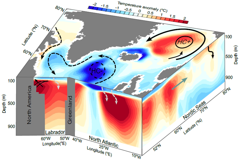 Melting of the Arctic and Greenland ice sheets triggers rapid subsurface warming in the North Atlantic and Nordic Seas | Ocean to Climate